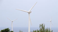 Wind turbine farm. Tunisia. 